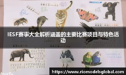 必博BIBO官网