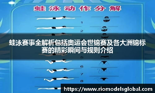 必博BIBO网址