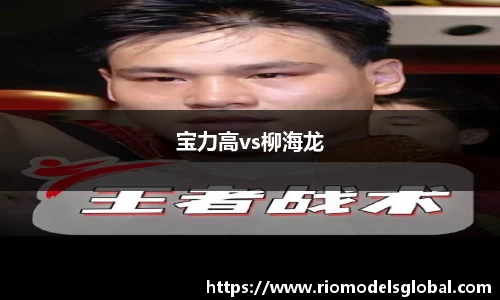 宝力高vs柳海龙