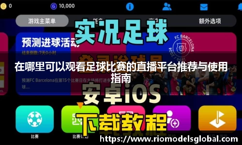 必博BIBO网址