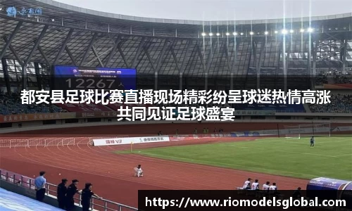 都安县足球比赛直播现场精彩纷呈球迷热情高涨共同见证足球盛宴