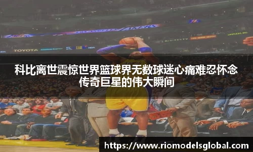 必博BIBO网址