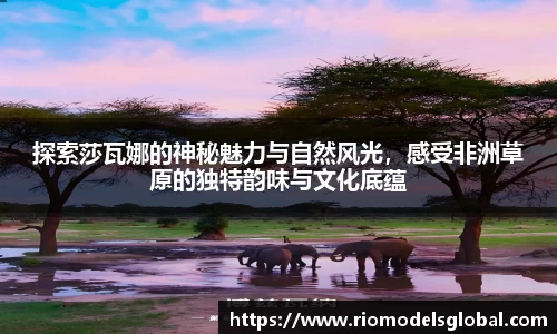 探索莎瓦娜的神秘魅力与自然风光，感受非洲草原的独特韵味与文化底蕴