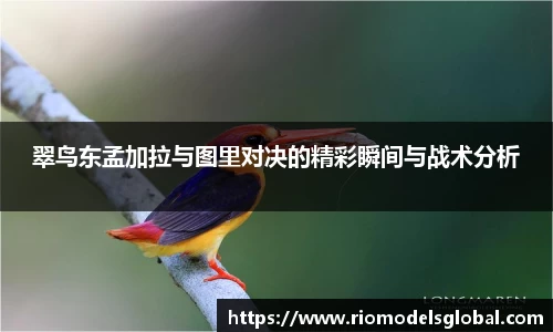 翠鸟东孟加拉与图里对决的精彩瞬间与战术分析